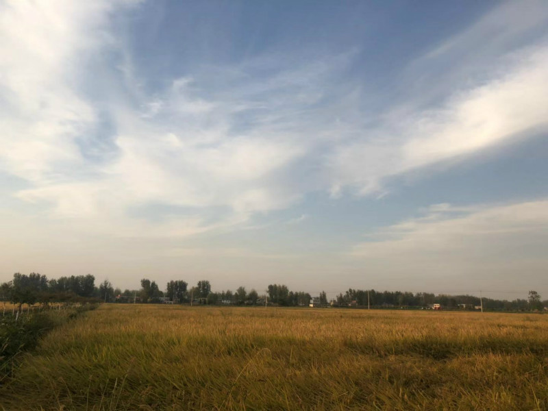 固始武廟100MW風(fēng)電項目